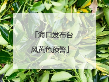 海口发布台风黄色预警